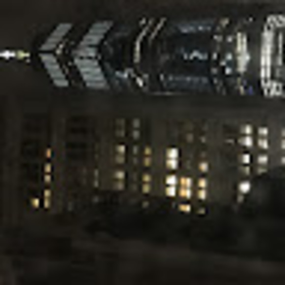 bsym0308